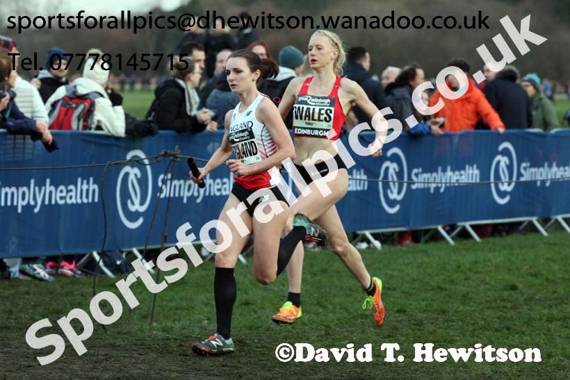 Stewart Cup International Relay, 2017 Great Edinburgh Cross Country. Photo: David T. Hewitson/Sports for All PIcs